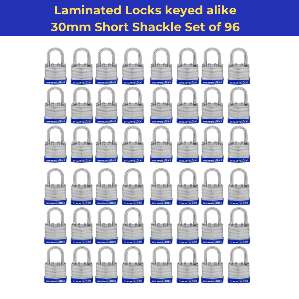 Pack of 48, Dynamite Locks with same keys, Laminated Padlocks 30 mm or 1.3/16" Keyed Alike Commercial Grade, Hardened Shackle