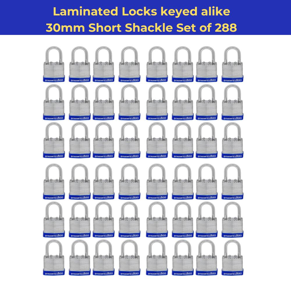 Pack of 288 , Dynamite Locks with same keys, Laminated Padlocks 30 mm or 1.3/16" Keyed Alike Commercial Grade, Hardened Shackle