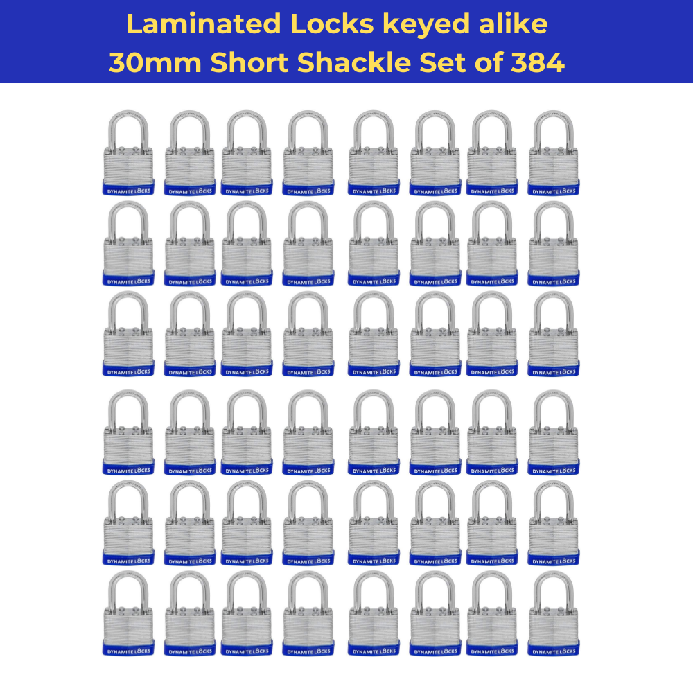 Pack of 192 Dynamite Locks with same keys, Laminated Padlocks 30 mm or 1.3/16" Keyed Alike Commercial Grade, Hardened Shackle