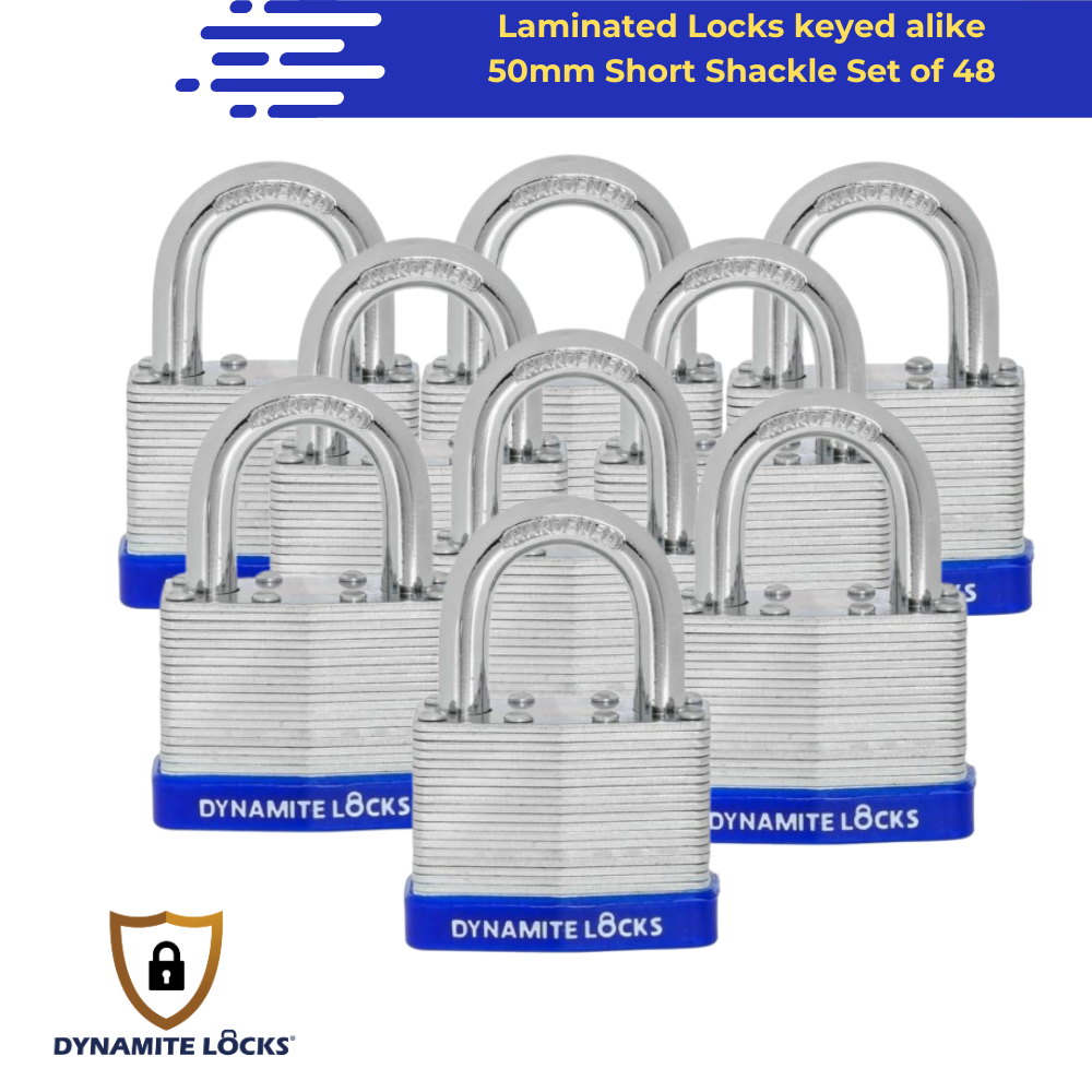 Pack of 384, Dynamite Locks Padlocks with same keys, 50mm Heavy Duty Laminated Steel Padlock Short Shackle Hardened Steel Shackle, Commercial Grade Keyed Alike 2-Inch, 50mm Padlocks Keyed Alike Set