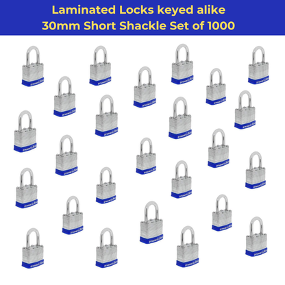 Lot of 500 Dynamite Locks with same keys, Laminated Steel Padlocks 30 mm or 1.3/16" Keyed Alike Commercial Grade, Hardened Shackle