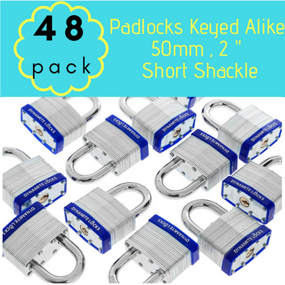 Pack of 72, Dynamite Locks Padlocks with same keys, 50mm Heavy Duty Laminated Steel Padlock Short Shackle Hardened Steel Shackle, Commercial Grade Keyed Alike 2-Inch, 50mm Padlocks Keyed Alike Set