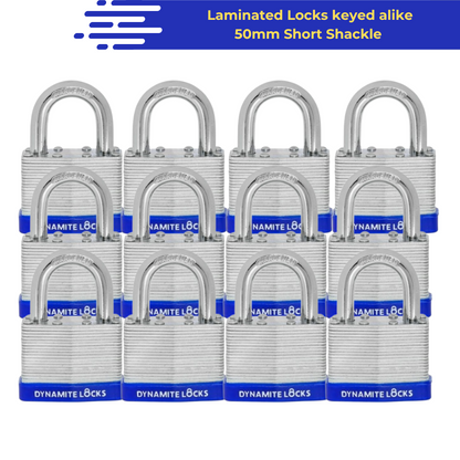 Pack of 400, Dynamite Locks Padlocks with same keys, 50mm Heavy Duty Laminated Steel Padlock Short Shackle Hardened Steel Shackle, Commercial Grade Keyed Alike 2-Inch, 50mm Padlocks Keyed Alike Set