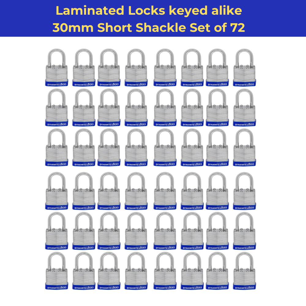 Pack of 384 , Dynamite Locks with same keys, Laminated Padlocks 30 mm or 1.3/16" Keyed Alike Commercial Grade, Hardened Shackle