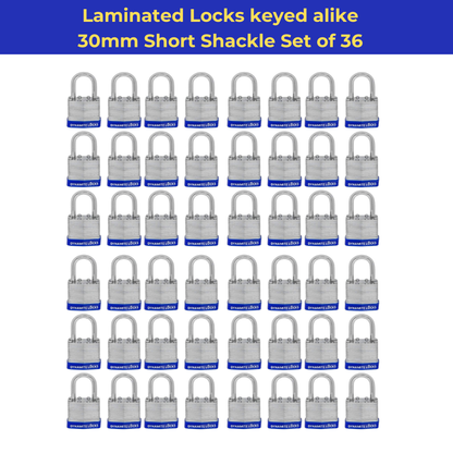 Pack of 144, Dynamite Locks with same keys, Laminated Padlocks 30 mm or 1.3/16" Keyed Alike Commercial Grade, Hardened Shackle