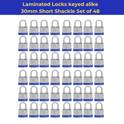 Pack of 72, Dynamite Locks with same keys, Laminated Padlocks 30 mm or 1.3/16" Keyed Alike Commercial Grade, Hardened Shackle