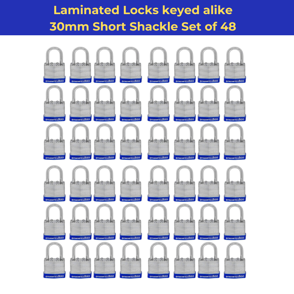 Pack of 384 , Dynamite Locks with same keys, Laminated Padlocks 30 mm or 1.3/16" Keyed Alike Commercial Grade, Hardened Shackle