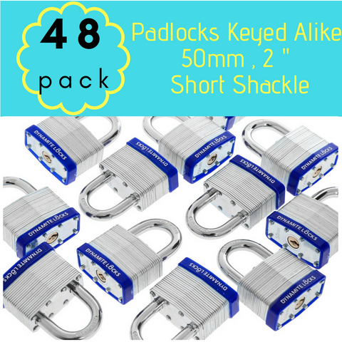 Pack of 48, Dynamite Padlocks with same keys, 50mm Heavy Duty